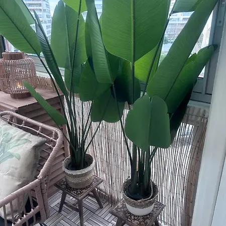 Le Bali * لا غراند موت